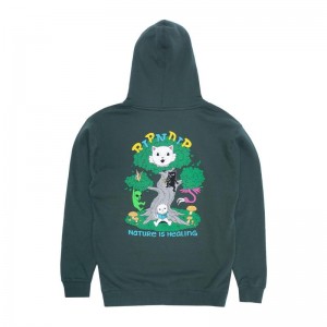 Ripndip Adventure Club Hoodie Green | CA YU2554