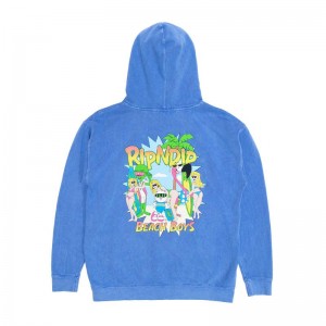 Ripndip Beach Boys Hoodie Wash | CA HK2570