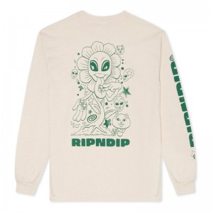 Ripndip Dance Forever Long Sleeve Beige | CA YU2424