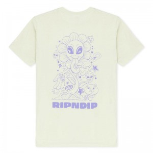 Ripndip Dance Forever Shirts Light Green | CA BC2231