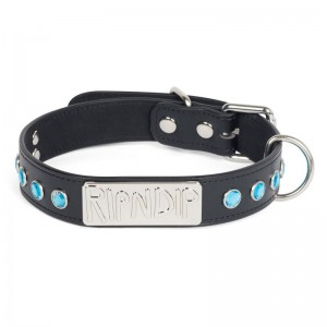 Ripndip Lord Nermal Studded Pet Collar Accessories Black | CA OR2772