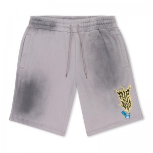 Ripndip Ripnlit Sweat Shorts Grey | CA TV2160