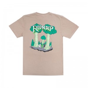 Ripndip Strange Forest Shirts Khaki | CA EX2262