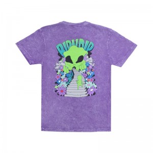 Ripndip The Unknown Shirts Purple Wash | CA KI2277