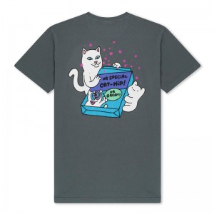 Ripndip Ur Special Cat Nip Shirts Grey | CA FM2247