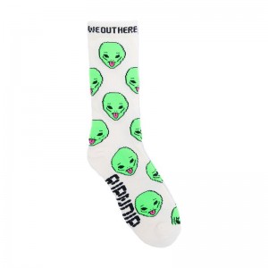 Ripndip We Out Here Socks Cream | CA UT2676