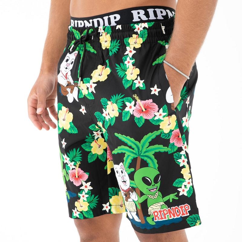 Ripndip Aloha Nerm Swim Shorts Black | CA LH2174