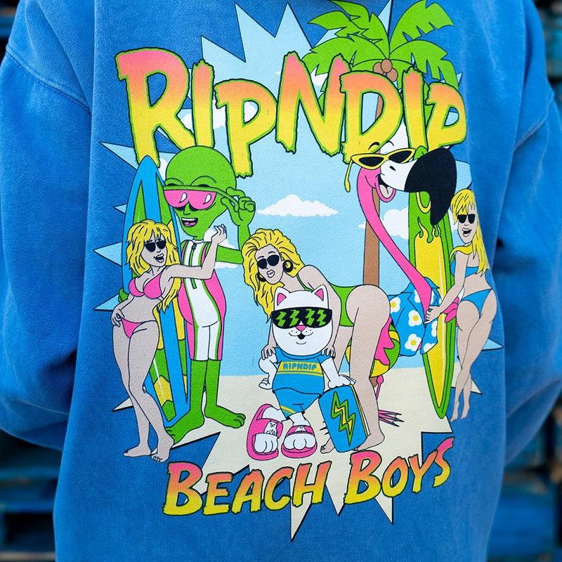 Ripndip Beach Boys Hoodie Wash | CA HK2570