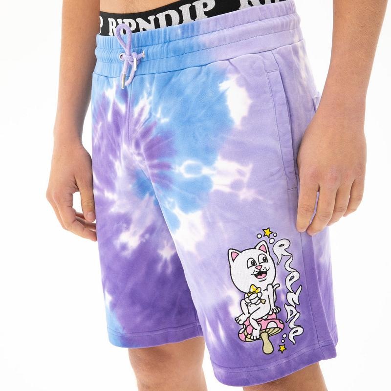 Ripndip Friday Jr Sweat Shorts Purple / Purple | CA UT2188