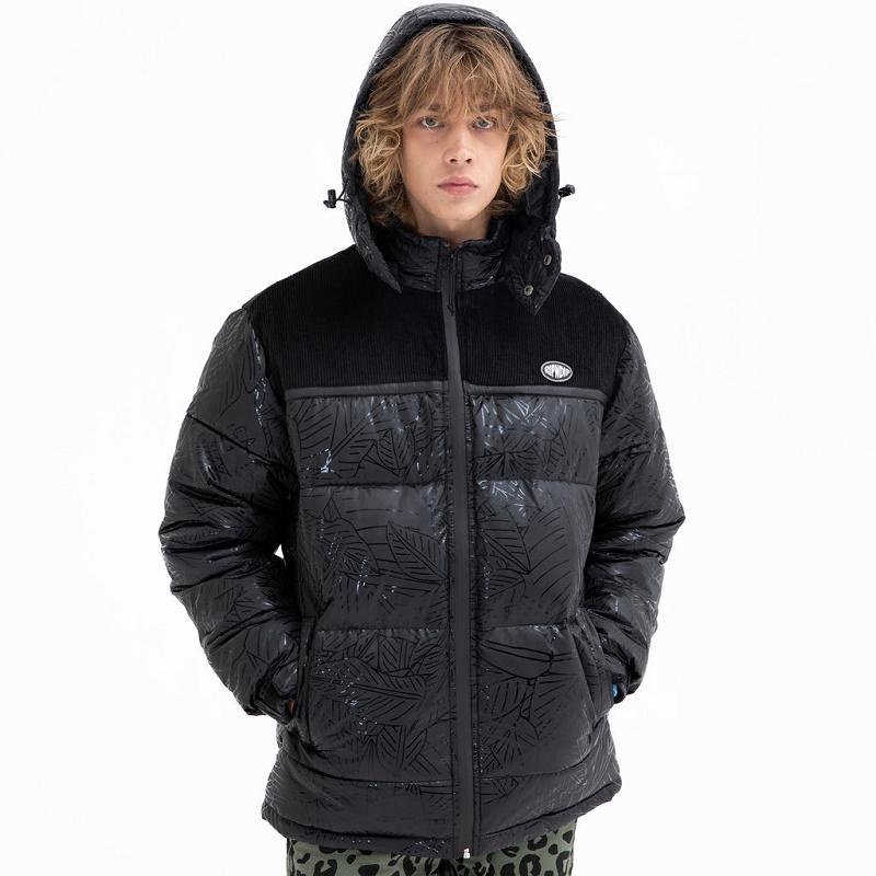 Ripndip Griffith Hooded Puffer Jackets Black | CA UT2501