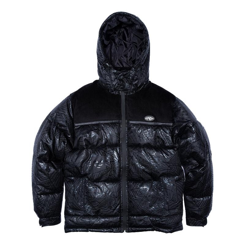 Ripndip Griffith Hooded Puffer Jackets Black | CA UT2501