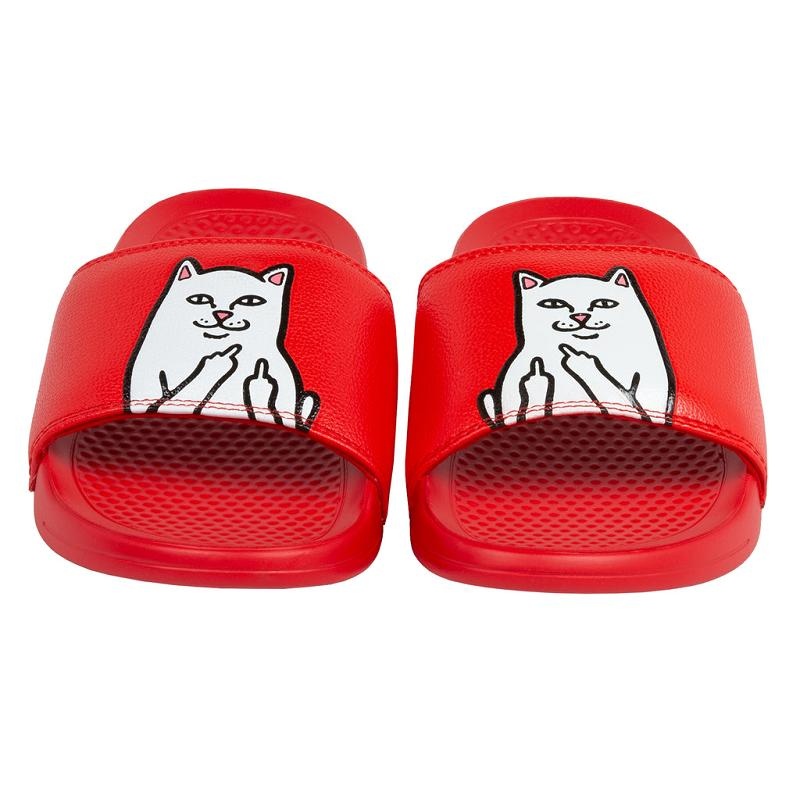 Ripndip Lord Nermal Slides Red | CA CE2021