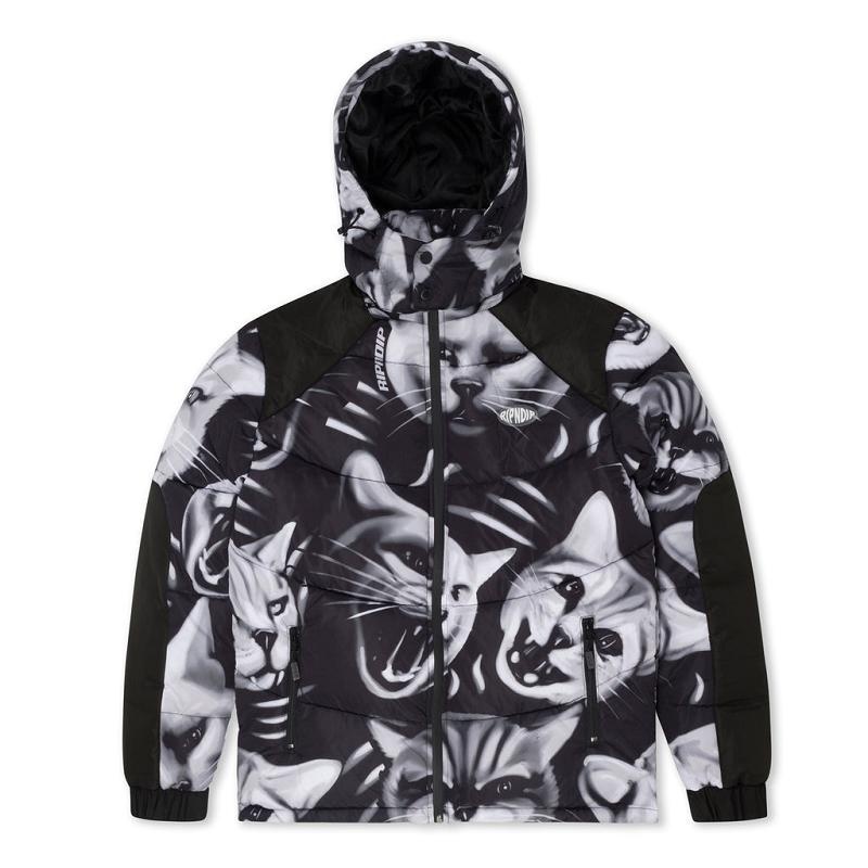 Ripndip Neon Cat Puffer Jackets Black | CA RW2478