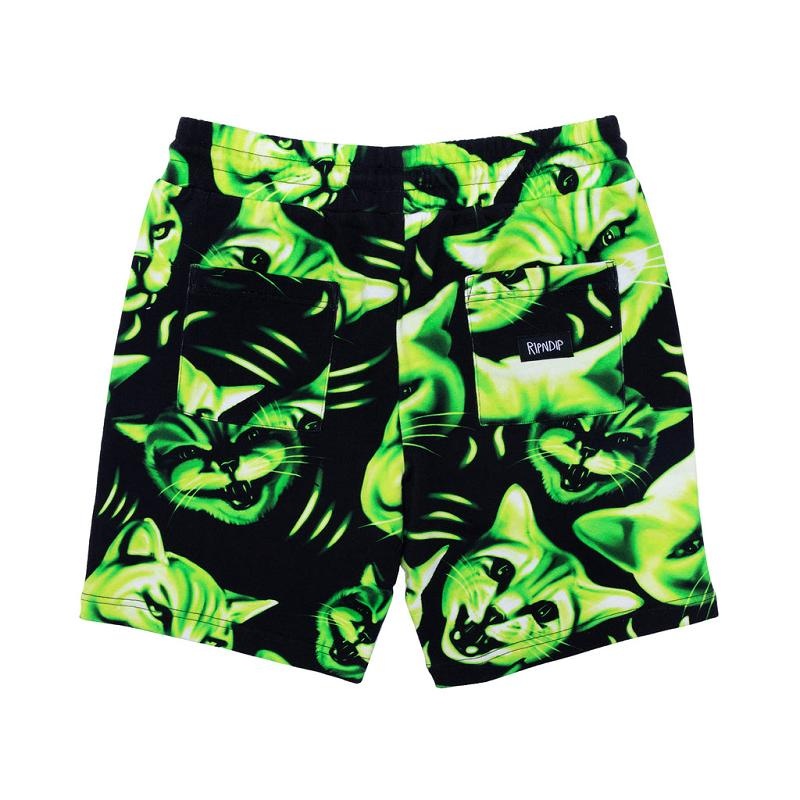 Ripndip Neon Cat Sweat Shorts Black | CA EX2210