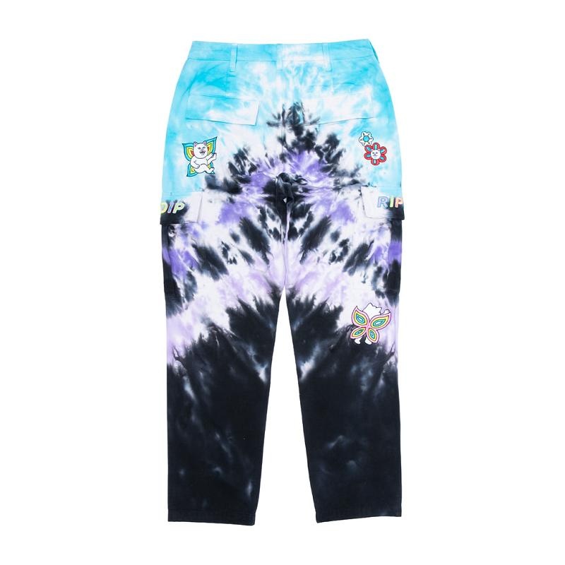 Ripndip Promised Land Cargo Pants Purple / Blue | CA MA2404