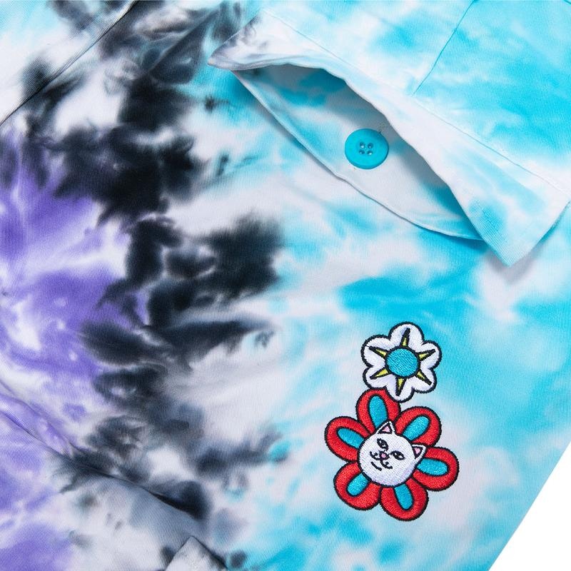 Ripndip Promised Land Cargo Pants Purple / Blue | CA MA2404