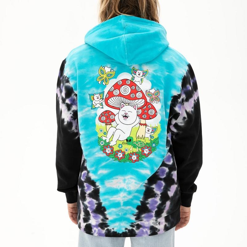 Ripndip Promised Land Hoodie Purple / Blue | CA MA2586