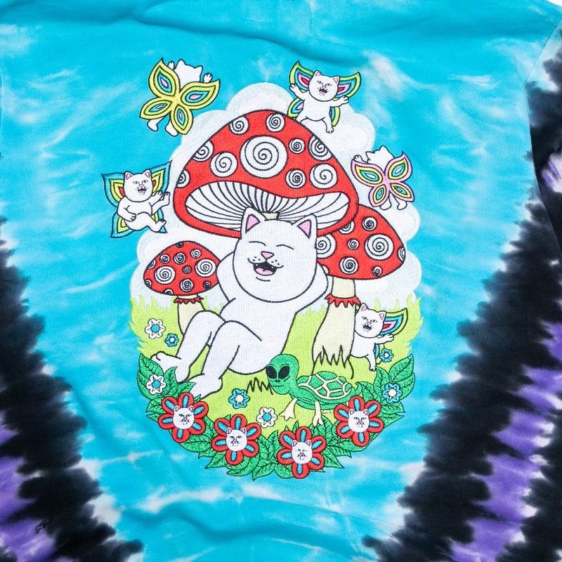 Ripndip Promised Land Hoodie Purple / Blue | CA MA2586