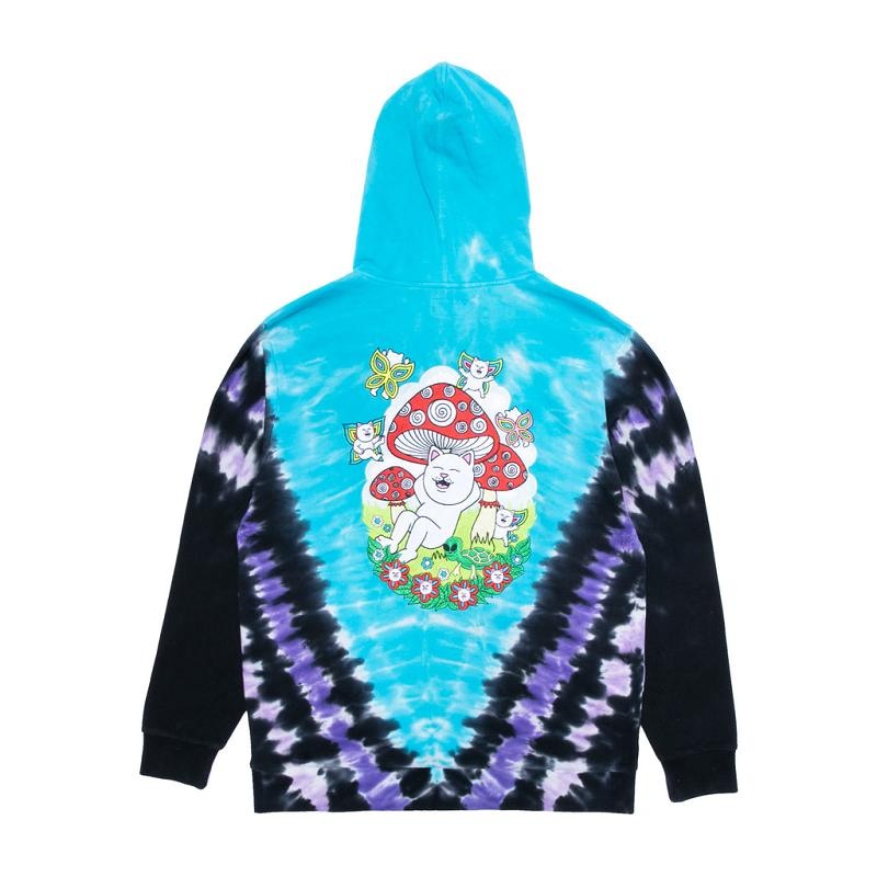 Ripndip Promised Land Hoodie Purple / Blue | CA MA2586