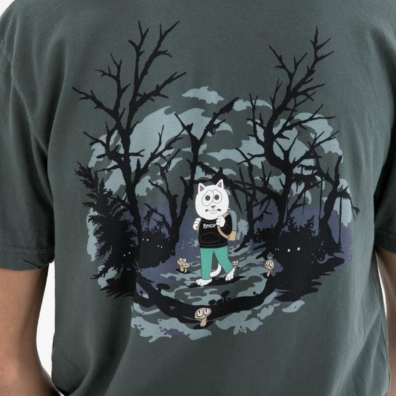 Ripndip Scary Hours Shirts Grey | CA HK2275