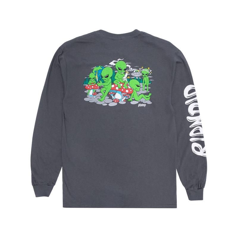 Ripndip Space Gang Long Sleeve Grey | CA MA2430