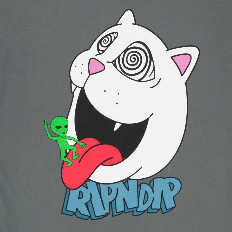 Ripndip Spiraling Shirts Grey | CA CE2229