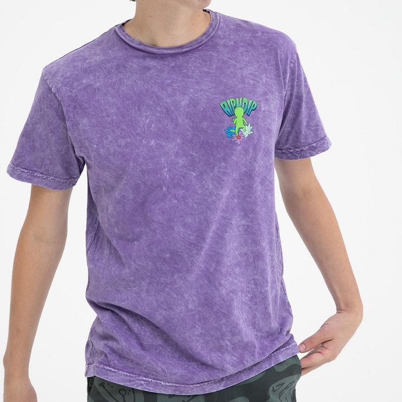 Ripndip The Unknown Shirts Purple Wash | CA KI2277