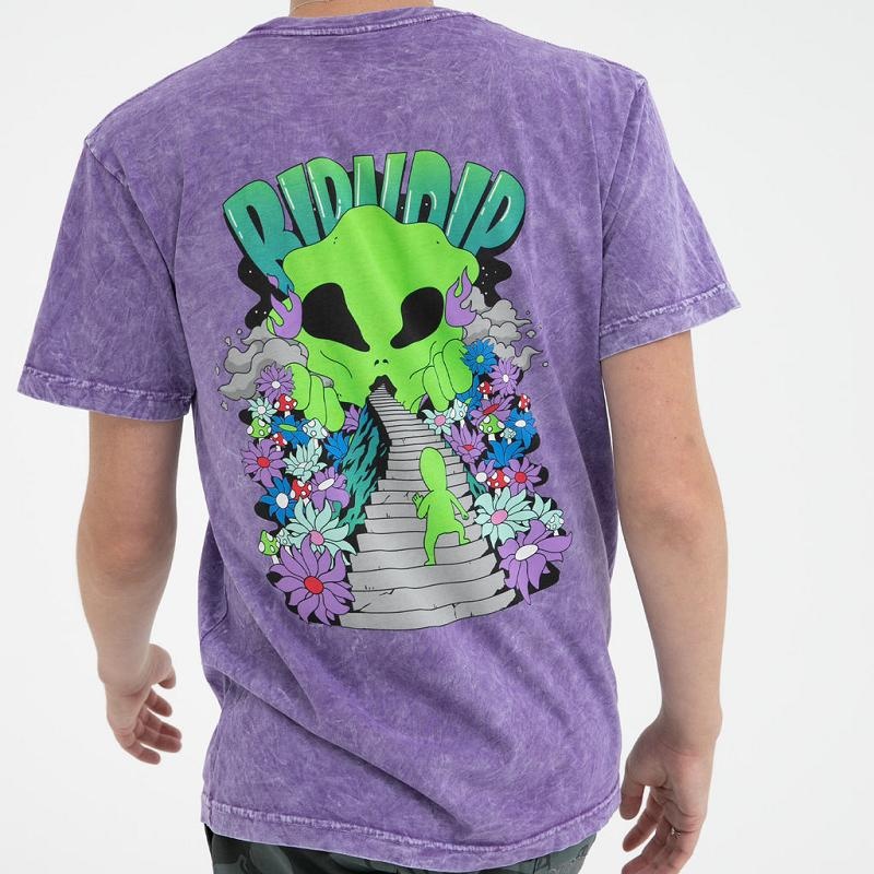 Ripndip The Unknown Shirts Purple Wash | CA KI2277