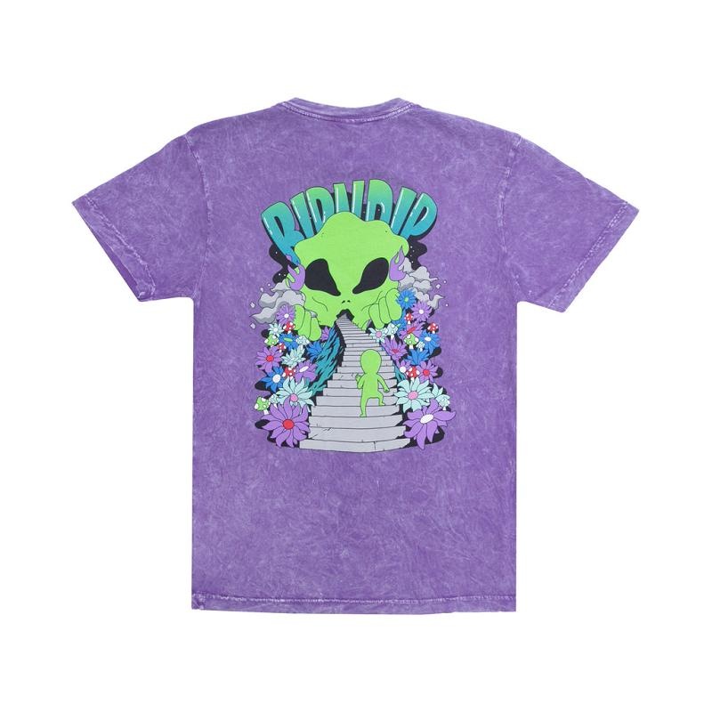 Ripndip The Unknown Shirts Purple Wash | CA KI2277